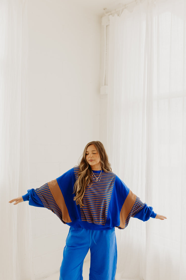 Color Block Striped Sweater BLUE & BROWN