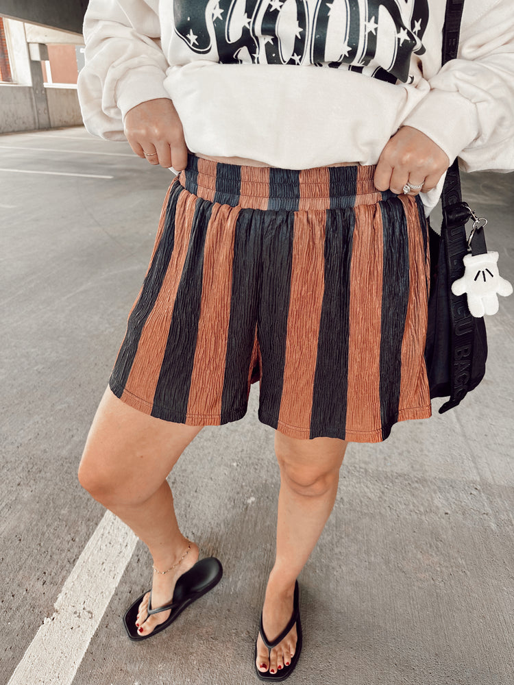 Black & Brown Striped Flowy SHORTS