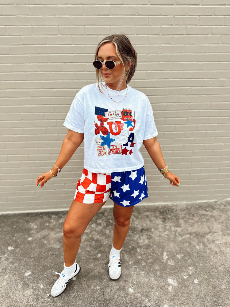 USA Collage graphic BABY BLUE (cropped or full length)