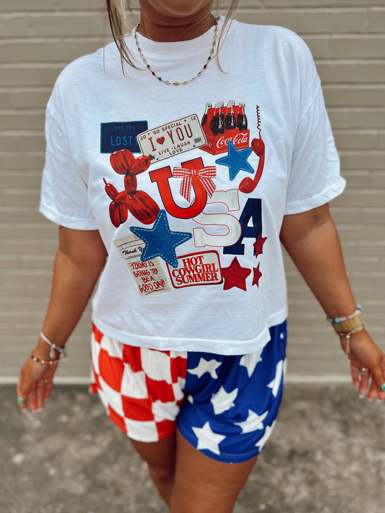 USA Collage graphic BABY BLUE (cropped or full length)