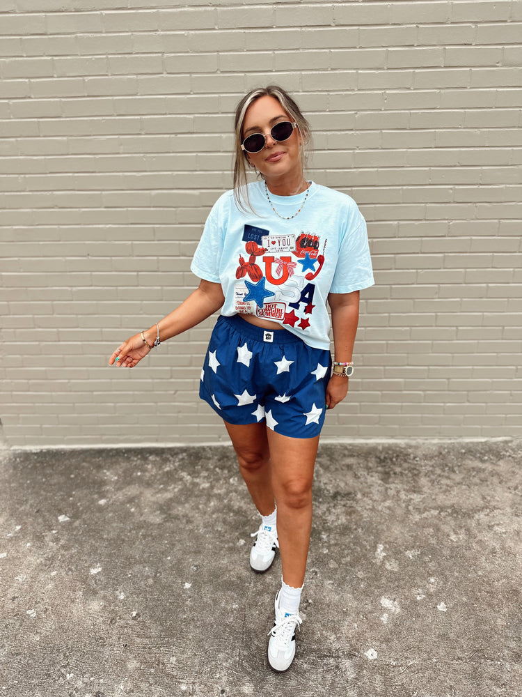USA Collage graphic BABY BLUE (cropped or full length)